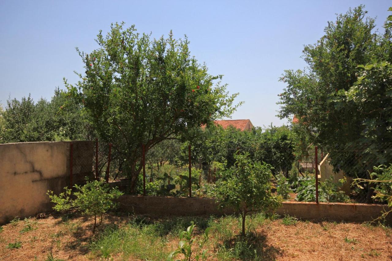 Apartments And Rooms With Parking Space Orebic, Peljesac - 10191 ภายนอก รูปภาพ